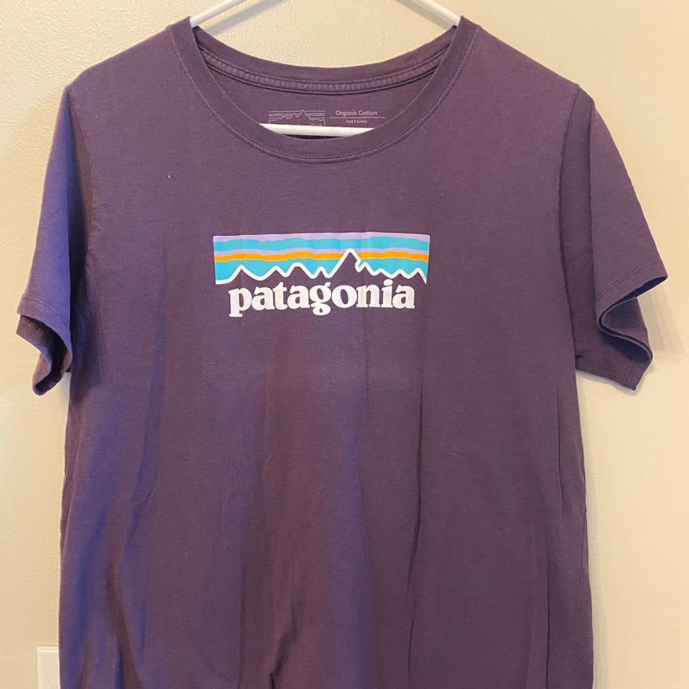 Patagonia Shirt